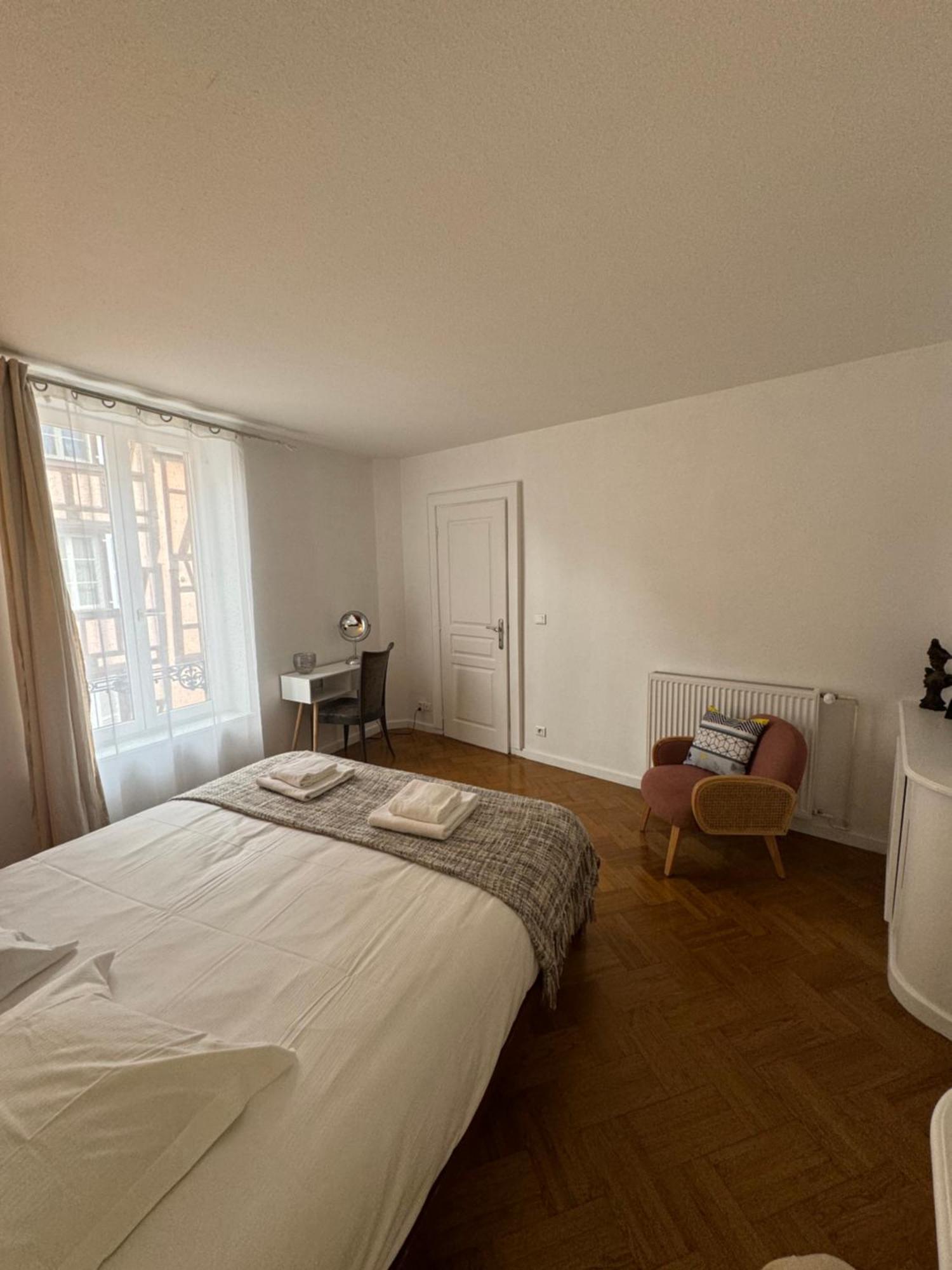 Appartement De Standing Hypercentre Colmar Eksteriør billede