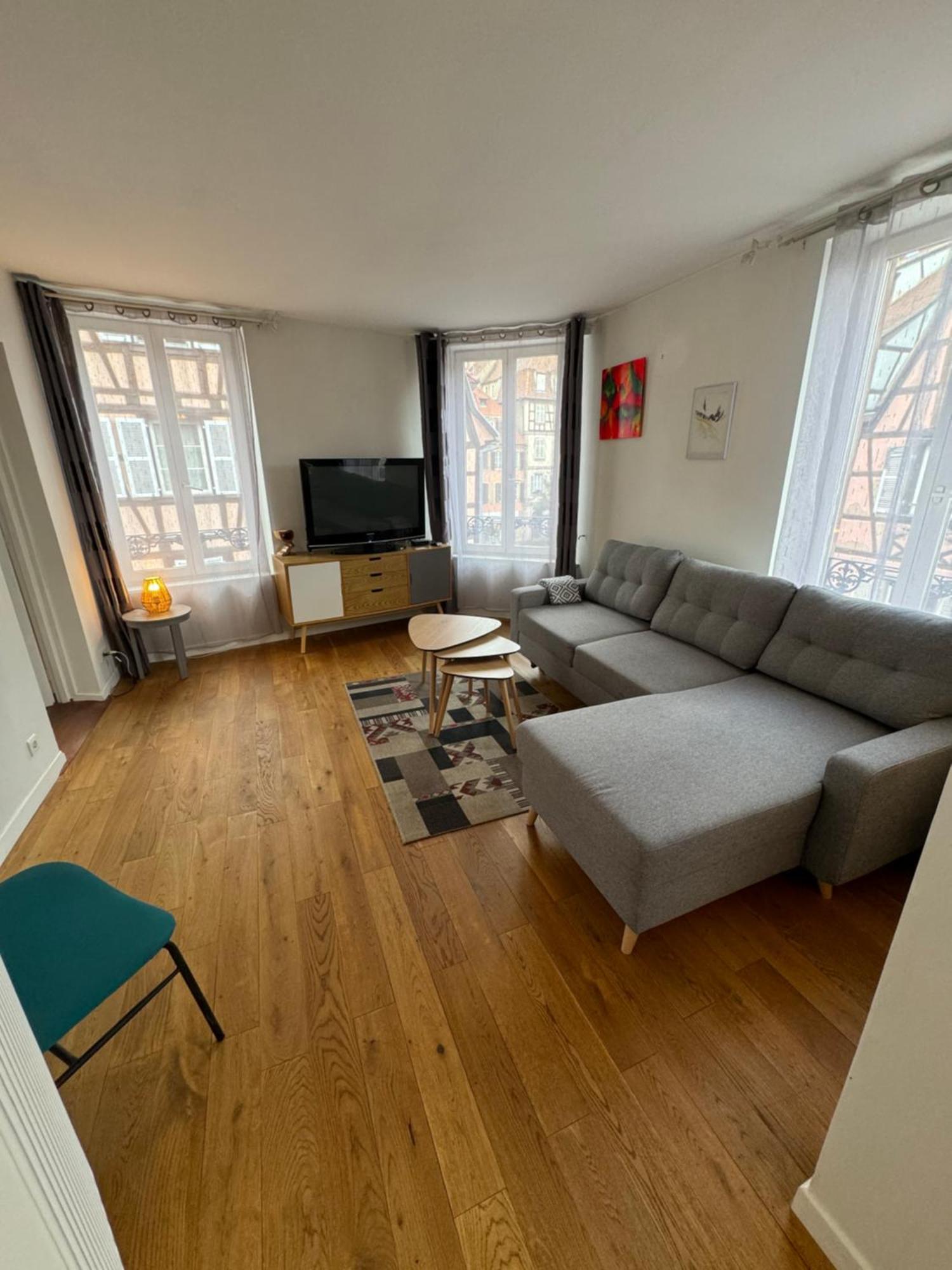Appartement De Standing Hypercentre Colmar Eksteriør billede