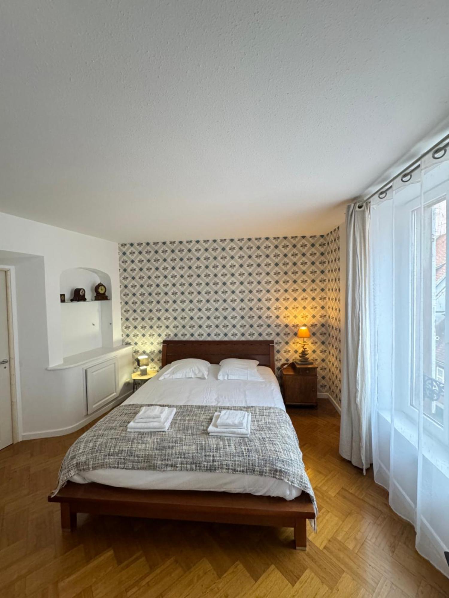 Appartement De Standing Hypercentre Colmar Eksteriør billede